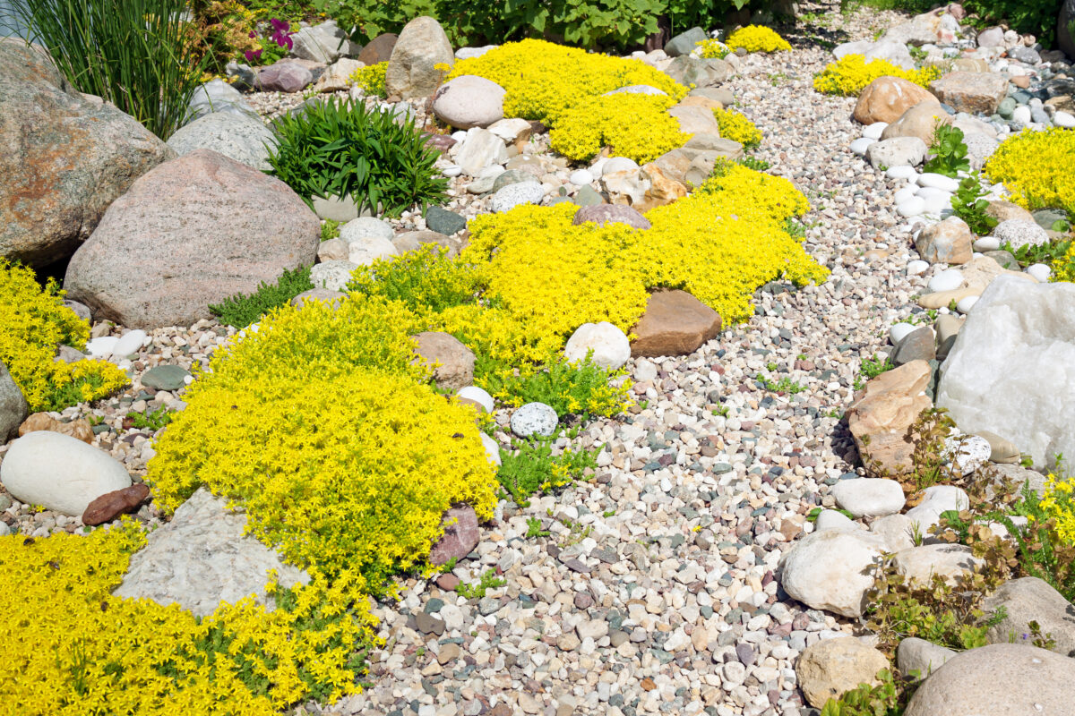 landscape pebbles drainage